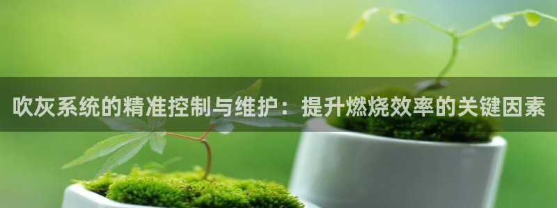 新宝gg娱乐注册