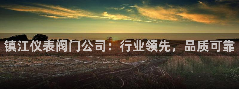 新宝gg下载官网下载