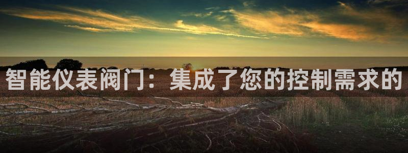 新宝gg注册cqdellar