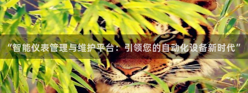 新宝GG苹果版