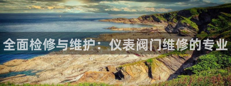 新宝gg怎样代理