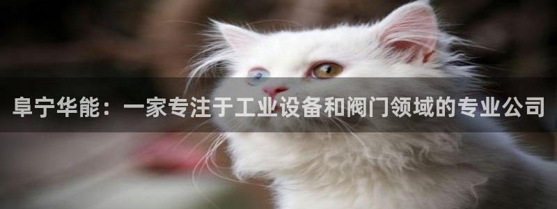 新宝gg注册登录