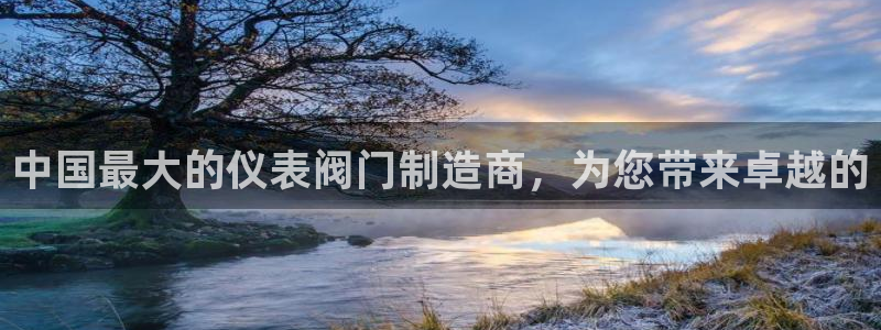 新宝gg下载官网下载