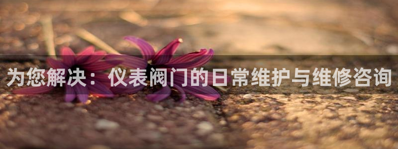 新宝gg龙虎规则