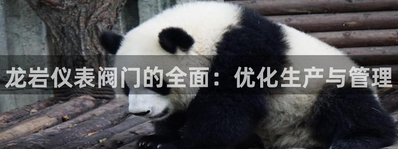 新宝GG登录网页