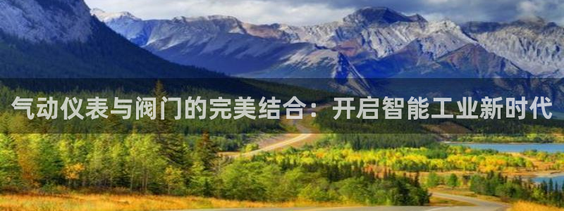 新宝GG无法充值