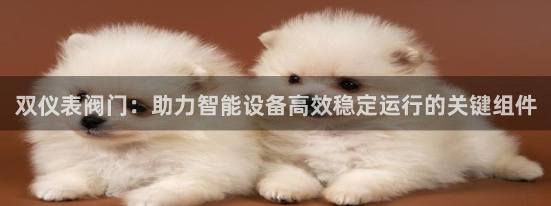 创造奇迹新宝gg