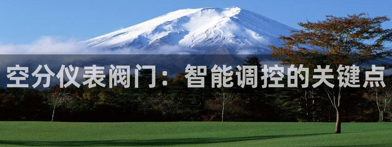 新宝gg游戏登录