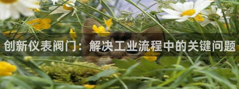 新宝gg — 创造!