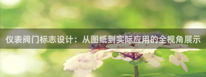 新宝gg主管花木兰