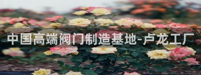 新宝gg注册登录网址