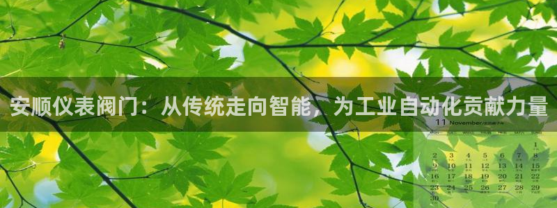 新宝gg如何代理