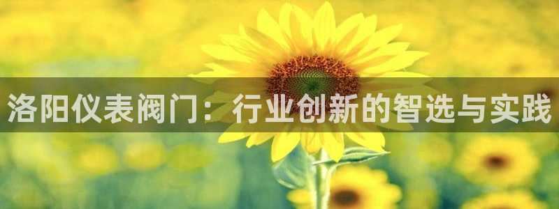 新宝gg如何赚钱