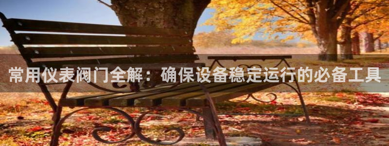 新宝gg创造奇迹