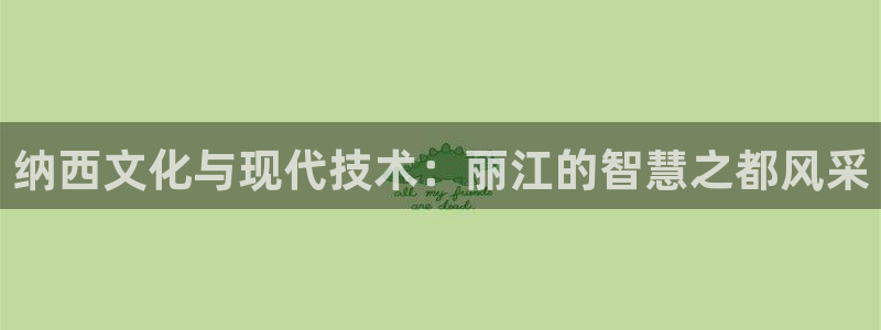 新宝gg平台gg登录gg网址