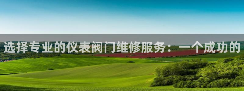 新宝gg平台开发