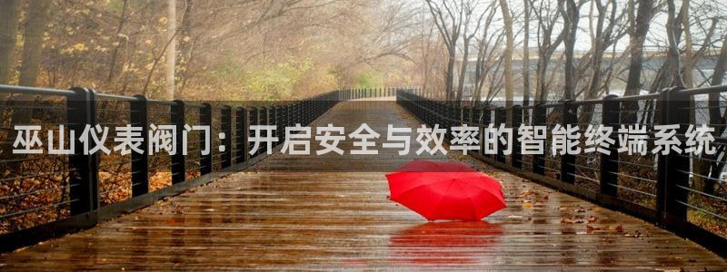 新宝gg代理条件