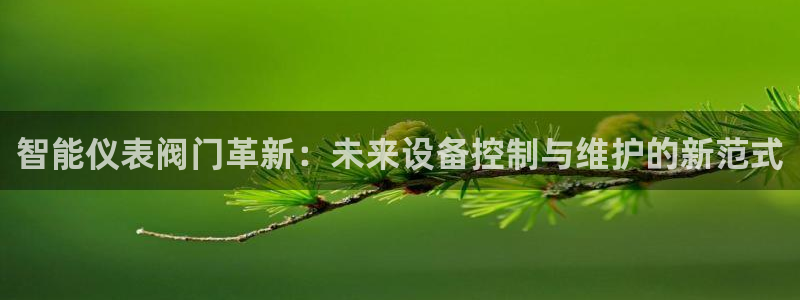 新宝gg代理登录