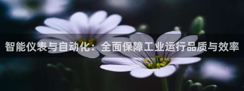 新宝gg用哪个浏览器