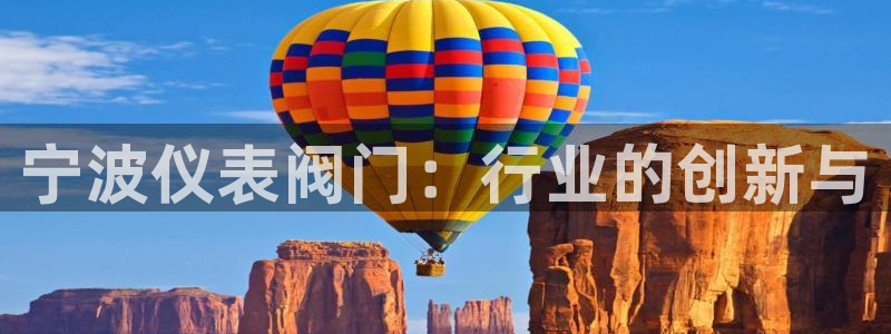 新宝gg怎样