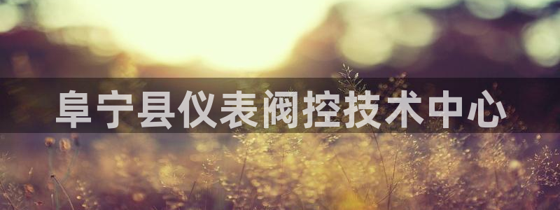 新宝gg刷流水