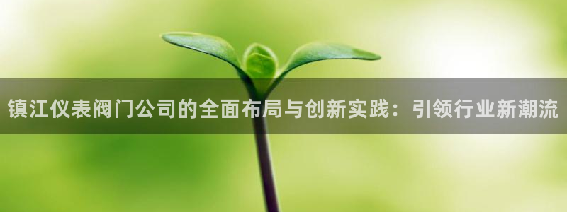 新宝gg官方下载