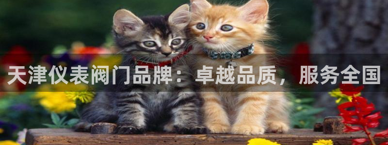 新宝gg注册cqdellar