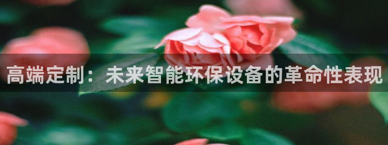 新宝gg开号