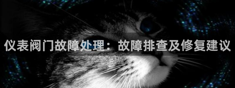 新宝gg登录平台