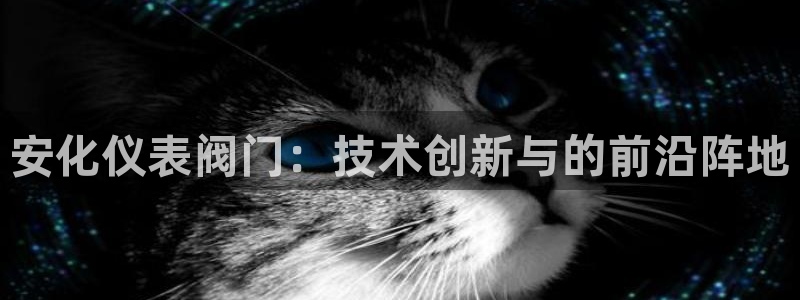 新宝GG之家