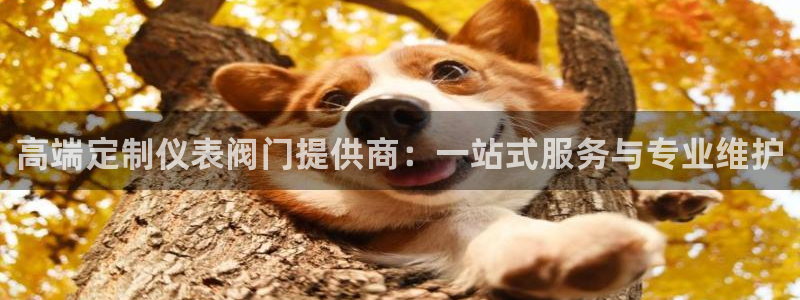 新宝gg娱乐注册