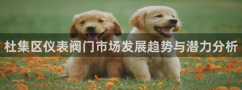 新宝gg平台反水