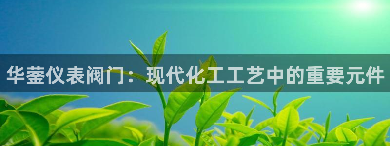 新宝gg软件下载