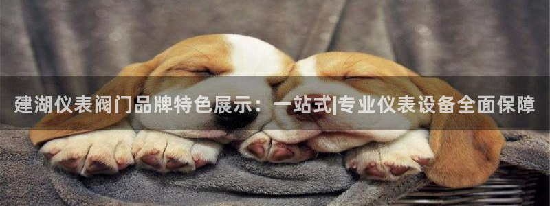 新宝gg龙腾
