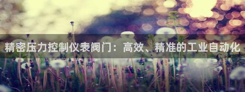 新宝时gg